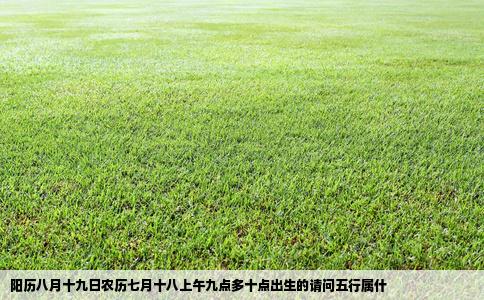 阳历八月十九日农历七月十八上午九点多十点出生的请问五行属什