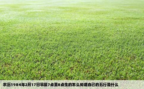 农历1984年2月17日早晨7点至8点生的怎么知道自己的五行是什么