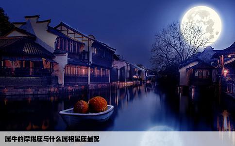 属牛的摩羯座与什么属相星座最配