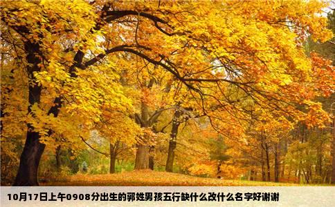 10月17日上午0908分出生的郭姓男孩五行缺什么改什么名字好谢谢