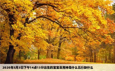 2020年5月3日下午14点13分出生的宝宝喜用神是什么五行缺什么