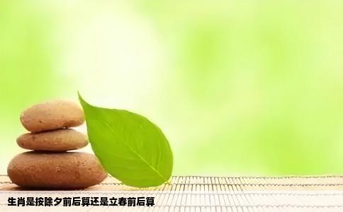 生肖是按除夕前后算还是立春前后算