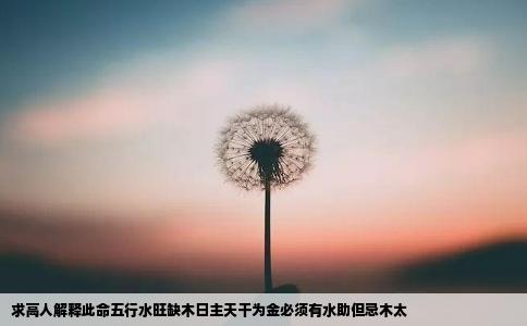 求高人解释此命五行水旺缺木日主天干为金必须有水助但忌木太