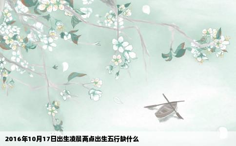 2016年10月17日出生凌晨两点出生五行缺什么