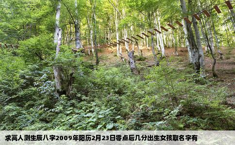 求高人测生辰八字2009年阳历2月23日零点后几分出生女孩取名字有