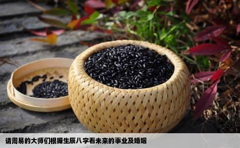 请周易的大师们根据生辰八字看未来的事业及婚姻