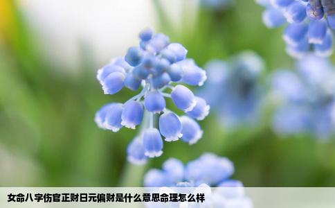 女命八字伤官正财日元偏财是什么意思命理怎么样