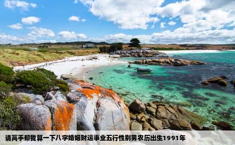 请高手帮我算一下八字婚姻财运事业五行性别男农历出生1991年