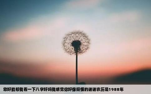 您好能帮我看一下八字好吗我感觉你好像挺懂的谢谢农历是1988年