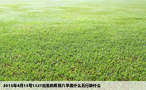 2015年4月15号1327出生的男孩八字是什么五行缺什么