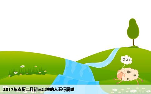 2017年农历二月初三出生的人五行属啥