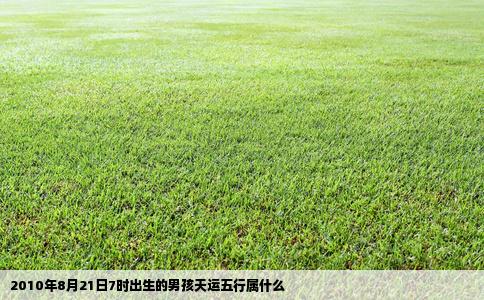 2010年8月21日7时出生的男孩天运五行属什么