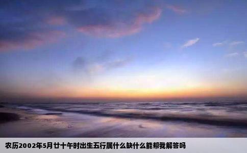 农历2002年5月廿十午时出生五行属什么缺什么能帮我解答吗