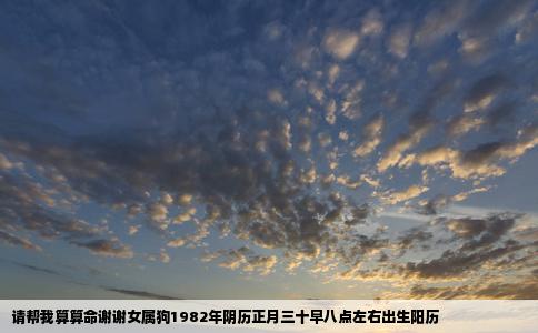 请帮我算算命谢谢女属狗1982年阴历正月三十早八点左右出生阳历