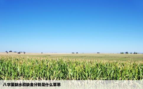 八字里缺水和缺金分别是什么意思