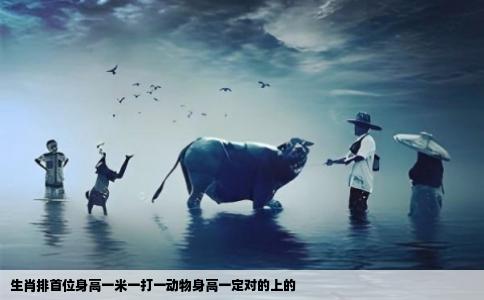 生肖排首位身高一米一打一动物身高一定对的上的