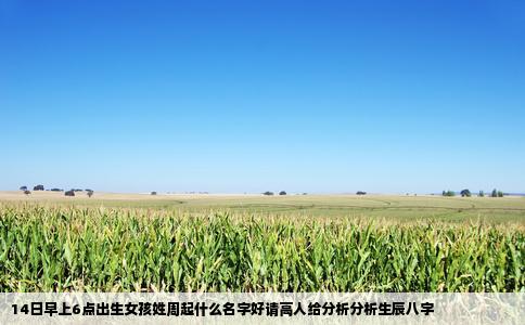14日早上6点出生女孩姓周起什么名字好请高人给分析分析生辰八字