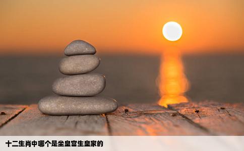 十二生肖中哪个是坐皇宫生皇家的