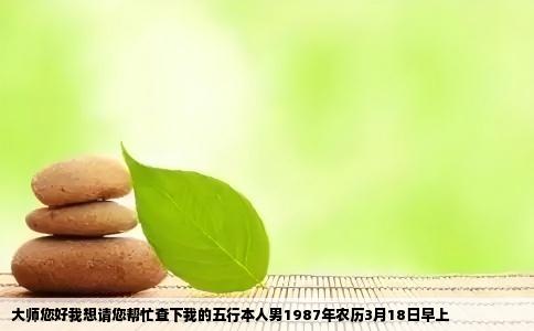 大师您好我想请您帮忙查下我的五行本人男1987年农历3月18日早上
