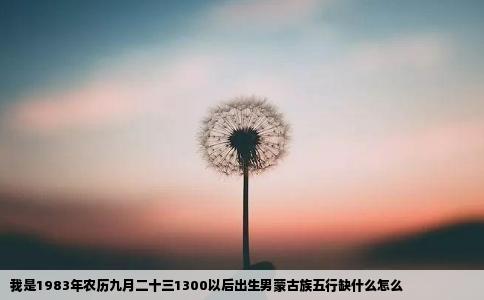 我是1983年农历九月二十三1300以后出生男蒙古族五行缺什么怎么