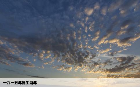 一九一五年属生肖年