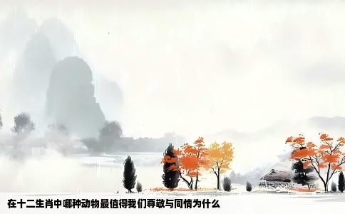 在十二生肖中哪种动物最值得我们尊敬与同情为什么