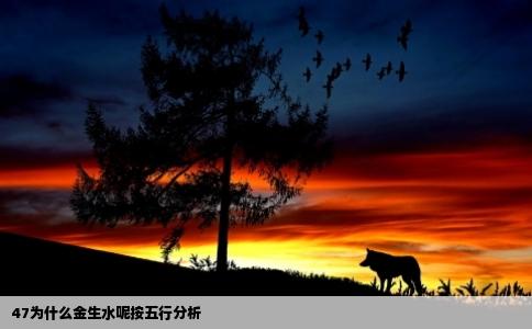 47为什么金生水呢按五行分析