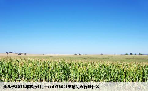 我儿子2013年农历9月十八6点30分生请问五行缺什么