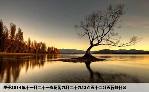 生于2014年十一月二十一农历闰九月二十九13点五十二分五行缺什么
