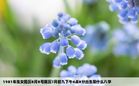 1981年生女阳历8月8号阴历7月初九下午4点8分出生是什么八字