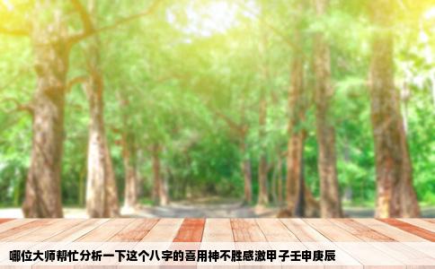 哪位大师帮忙分析一下这个八字的喜用神不胜感激甲子壬申庚辰