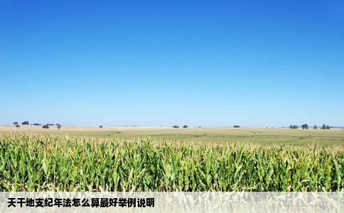 天干地支纪年法怎么算最好举例说明