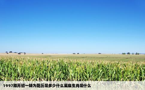 1997腊月初一转为阳历是多少什么星座生肖是什么