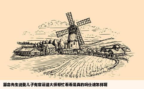 算命先生说我儿子有官运请大师帮忙看看是真的吗仕途怎样啊