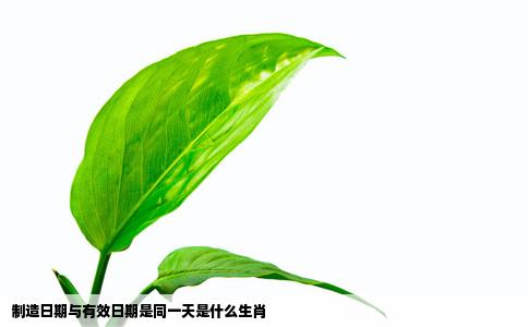 制造日期与有效日期是同一天是什么生肖