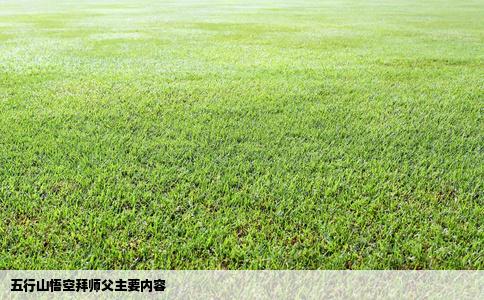 五行山悟空拜师父主要内容