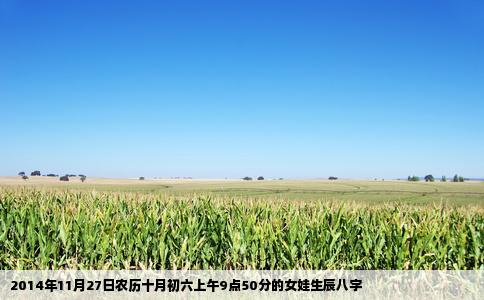 2014年11月27日农历十月初六上午9点50分的女娃生辰八字
