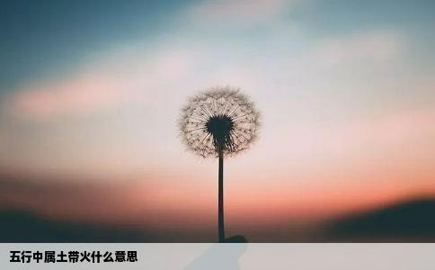 五行中属土带火什么意思