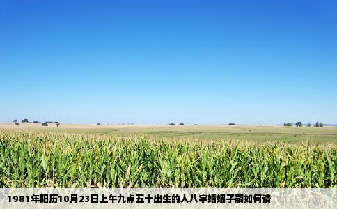 1981年阳历10月23日上午九点五十出生的人八字婚姻子嗣如何请
