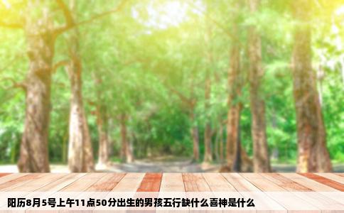 阳历8月5号上午11点50分出生的男孩五行缺什么喜神是什么