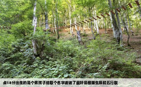 点18分出生的是个男孩子给取个名字谢谢了最好是根据生辰和五行取