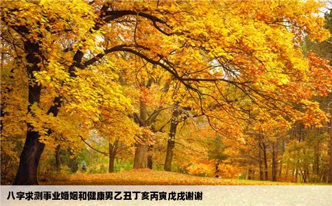 八字求测事业婚姻和健康男乙丑丁亥丙寅戊戌谢谢