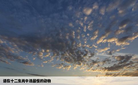 请在十二生肖中选最慢的动物