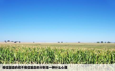 相信算命的和不相信算命的分别是一种什么心理