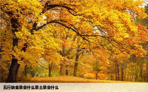五行缺金忌会什么忌土忌会什么