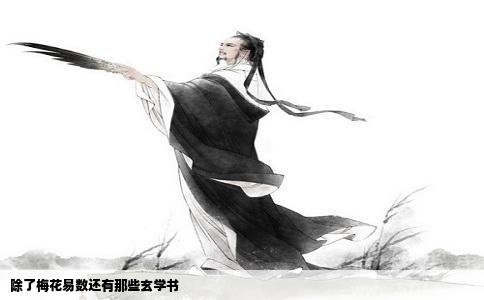 除了梅花易数还有那些玄学书