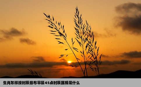生肖怎样按时辰排布早晨45点时辰属相是什么