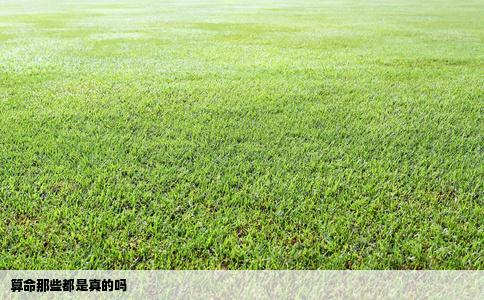 算命那些都是真的吗