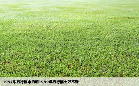 1997牛五行属水的和1999年五行属土好不好