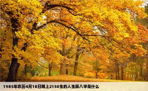 1985年农历4月18日晚上2150生的人生辰八字是什么